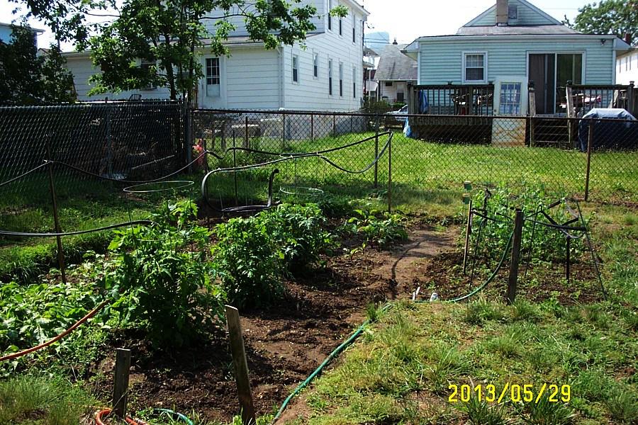 Garden Overview 29-May-2013.