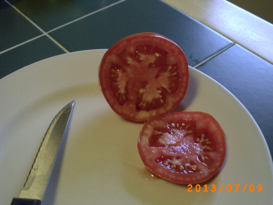 A slice of tomato picked fresh. Just add a touch of salt.