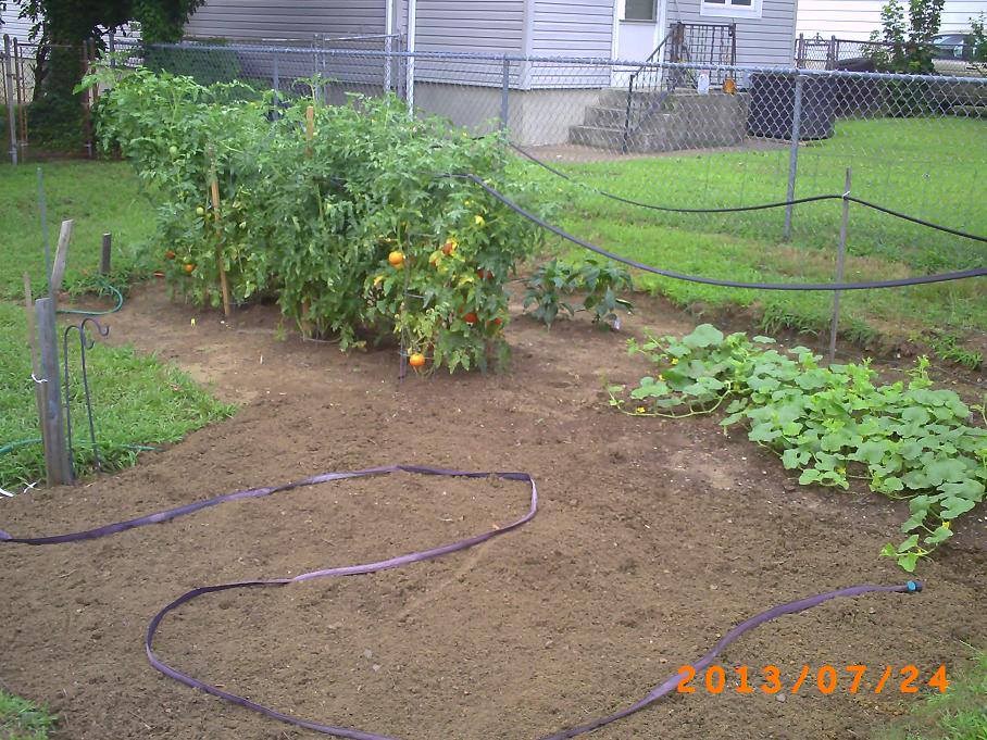 Garden Overview