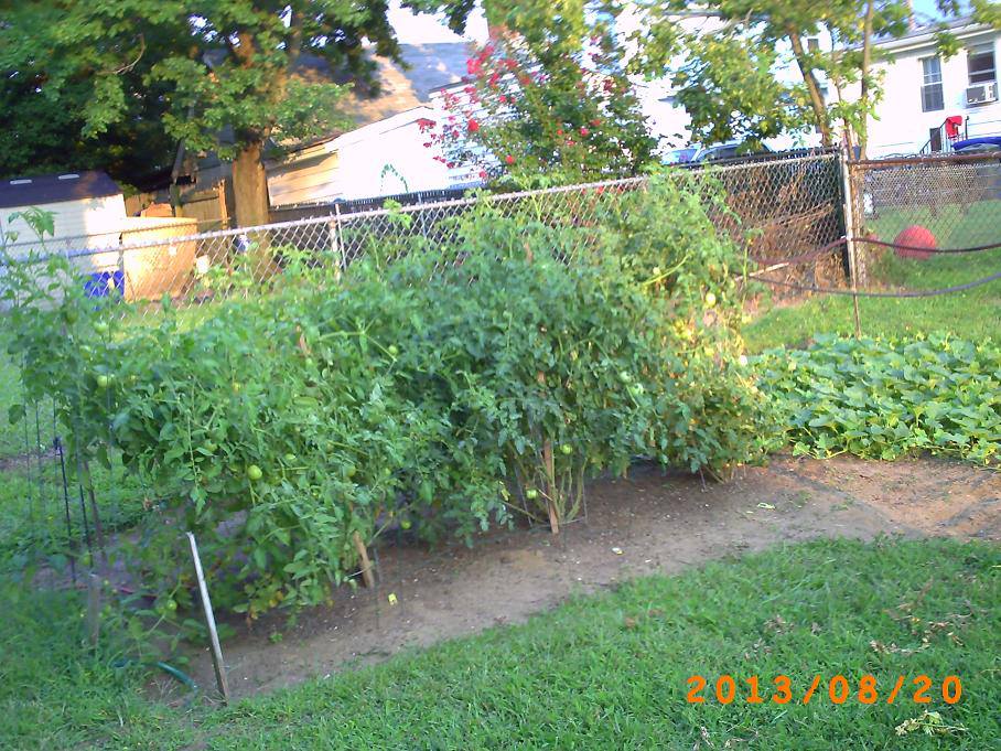 Garden Overview
