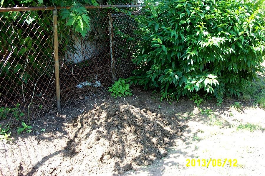 Be it ever so humble, the compost pile is the star of the garden