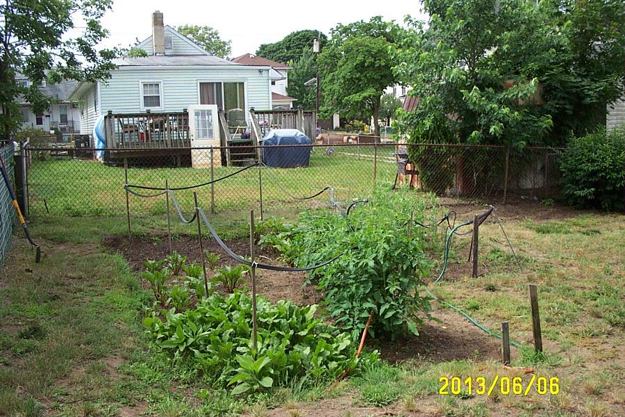 The garden, as it looks on 6-June-2013.